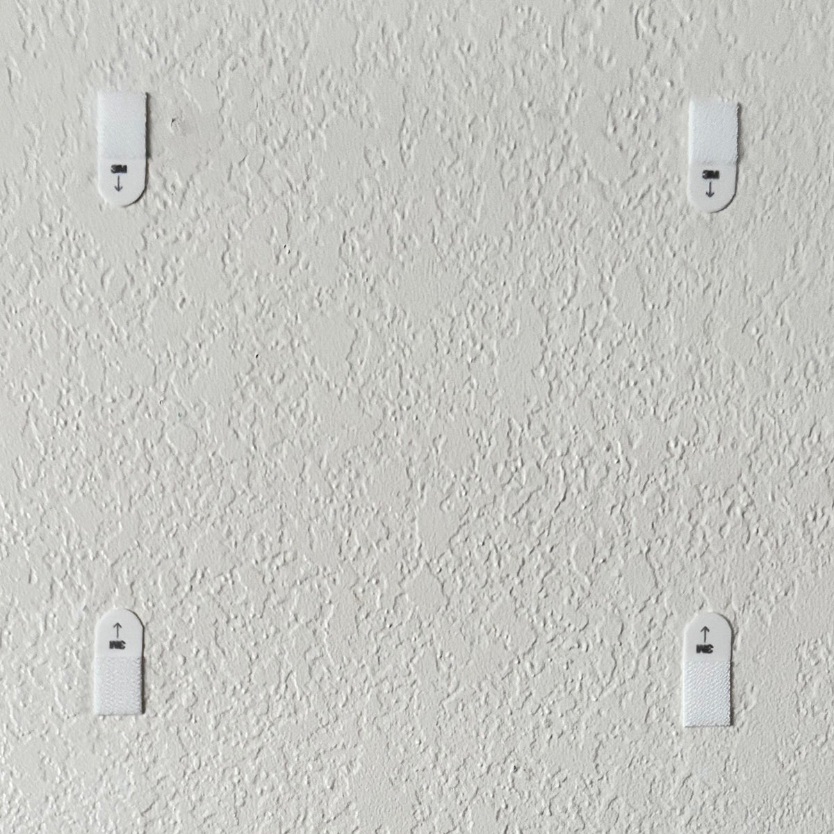 Single Panel #014-CWC (Scallop)